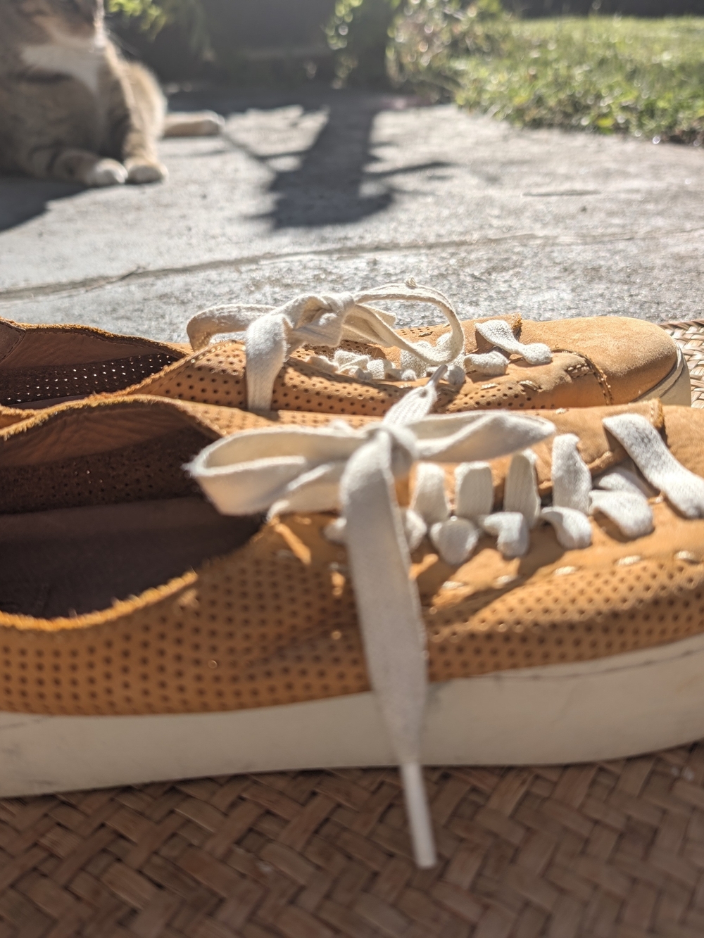 Women's Frye Leather Sneakers